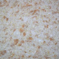   SILK PLASTER 763  ()