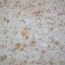   SILK PLASTER 763  ()
