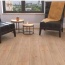  Kastamonu Floorpan Black    33  8  4 -V  ()