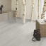  Kaindl    (Spruce Whitewashed) Classic Touch Standard Plank ()