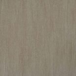 48501 ���� BN International ��������� �� ������������ ������ 0,53 �*10,05�