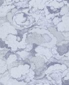 219262 ���� BN International ��������� �� ������������ ������ 0,53 �*10,05�