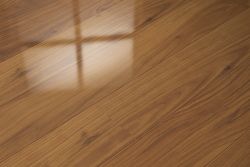 ������ �����