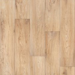  Wagner 1  2.7  /  0,20  Tarkett Evolution ()