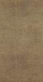 17924  BN International     0,53 *10,05