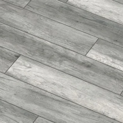  Arteo 8 S 4V   50214 33  8  ()