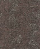219411  BN International     0,53 *10,05