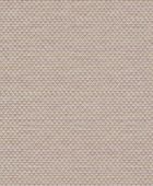 219442  BN International     0,53 *10,05
