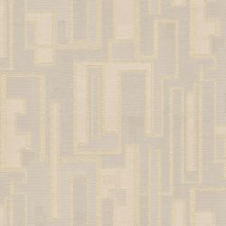 2-1208  Vinil     1,06*10,05