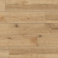 ������� Classen Expedition  ��� �����  33 ����� 8 �� 4V ����� (��������)