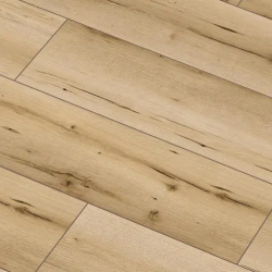  Arteo 8 XL 4V 49776   33  8  ()