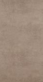 17921  BN International     0,53 *10,05