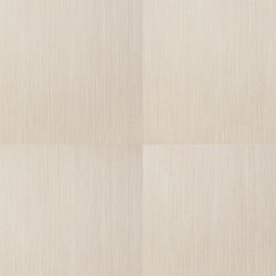   Tarkett Art Vinyl New Age Tempus ()