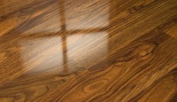 ���� ����������