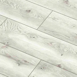  Arteo 10 XL 4V 49770   33  10  ()