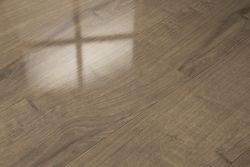 Дуб Янтарный