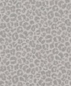 220140  BN International     0,53 *10,05