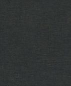 219431  BN International     0,53 *10,05