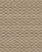 219441  BN International     0,53 *10,05