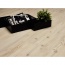   SUGAR PINE 31  4.5    IVC PRIMERO CLICK ()