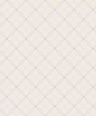 219243 ���� BN International ��������� �� ������������ ������ 0,53 �*10,05�