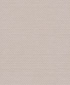 219440  BN International     0,53 *10,05