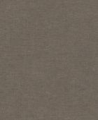 219425  BN International     0,53 *10,05