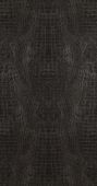 17950  BN International     0,53 *10,05