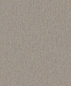 220113  BN International     0,53 *10,05
