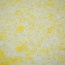   SILK PLASTER 766  ()
