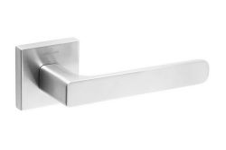   CEBI LETA SQ  19 ( ) 