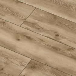  Arteo 10 XL 4V 49761   33  10  ()