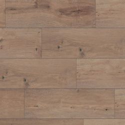 ������� ter Hurne - ��� ����� ������  G05 1915 32 ����� 8 �� 4 V ����� (��������)