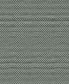 219443  BN International     0,53 *10,05