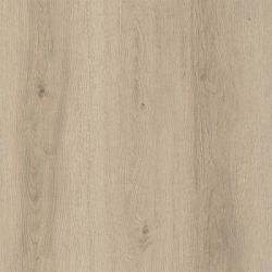  Kastamonu Orange   32  8  4 -V  ()