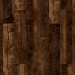 ������� ter Hurne - ��� ���� ���������� �16 2816 33 ����� 12 �� 4 V ����� (��������)