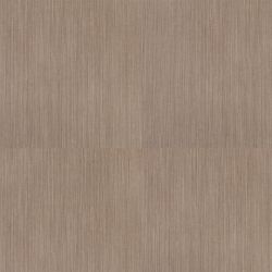   Tarkett Art Vinyl New Age Vernum ()