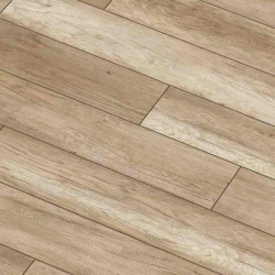  Arteo 8 S 4V 50213   33  8  ()