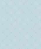 219244 ���� BN International ��������� �� ������������ ������ 0,53 �*10,05�