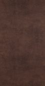 17922  BN International     0,53 *10,05