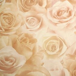 Обои виниловые Палитра 714-22 размер 1,06 м*10,05м