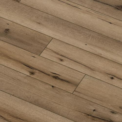  Arteo 8 S 4V 49837   33  8  ()