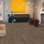  Quick-Step Eligna   -  32 /8     ()