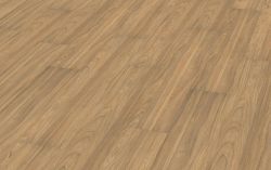 ��� �������������