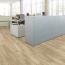    Lime Oak 963M 33  5  4 -V  Berry Alloc PURE 55 ()