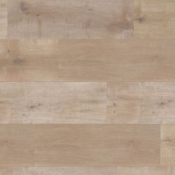 ������� ter Hurne - ��� �������-�����  G06 1972 32 ����� 8 �� 4 V ����� (��������)