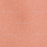   SILK PLASTER 1007  ()