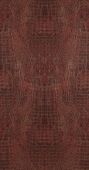17957  BN International     0,53 *10,05