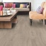  Quick-Step Eligna      32 /8     ()