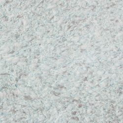   SILK PLASTER 601   ()